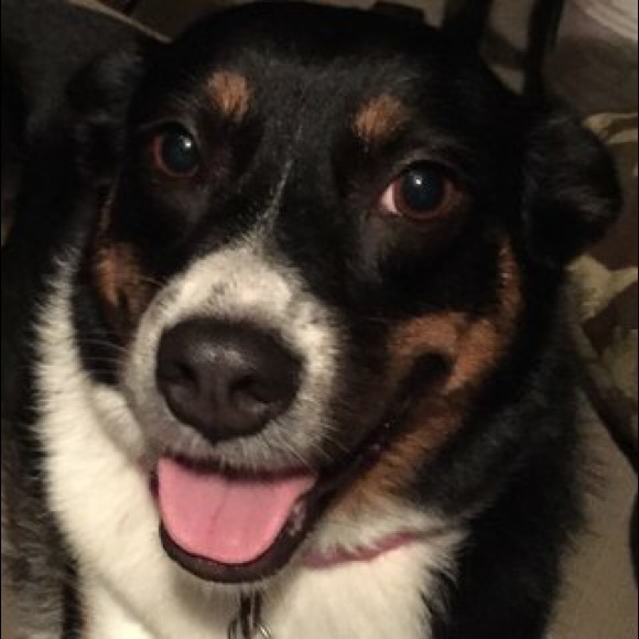 Meet your Posher, Megan - Picture 4 of 6